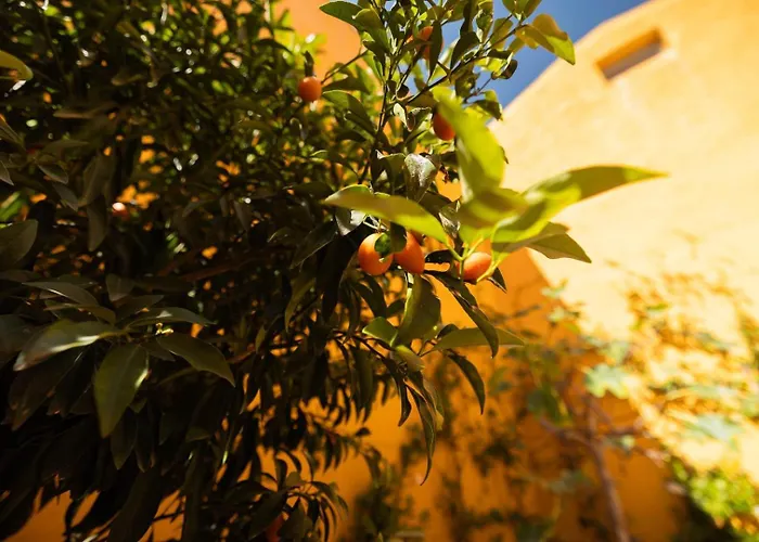 Elegant 3br Townhouse W/ En-suite Baths - Mouraria | By Airnest 度假居 Lisboa